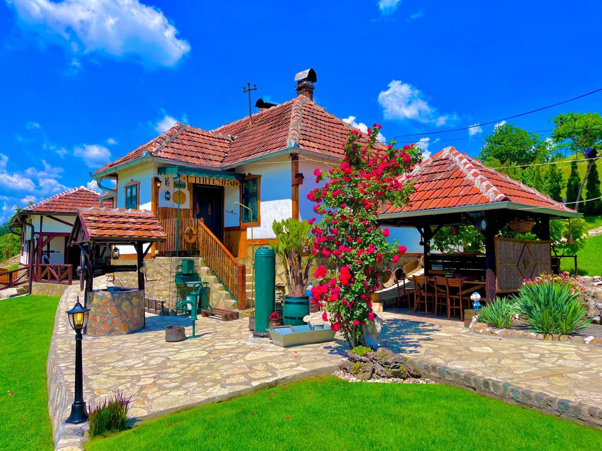 Etno Selo Stanojevic Hotel Boljevac Bagian luar foto